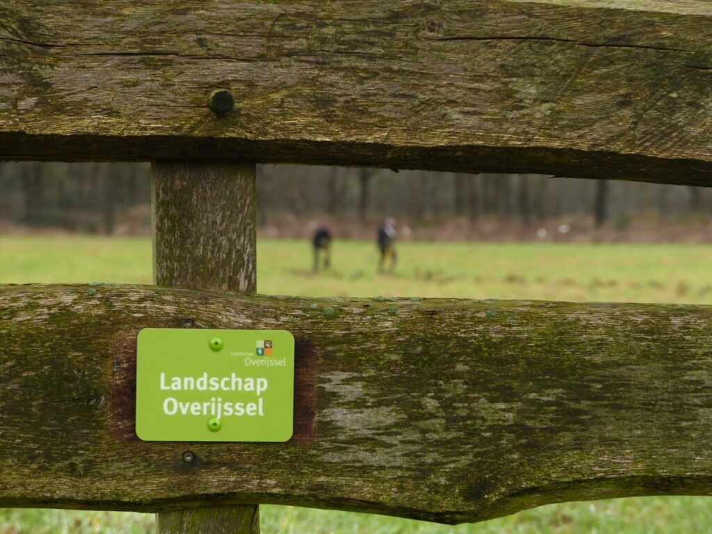landschap overijssel