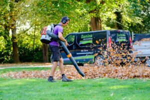 Tuin voorjaar klaar maken